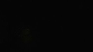 Фонарь Convoy ( Конвой) S11 (SST40) VS S16 (SST40) VS S21B ( SST40) . Все на 5000К.