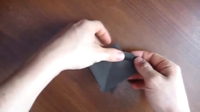 Красивая летучая мышь. juravliki.ru смотреть онлайн