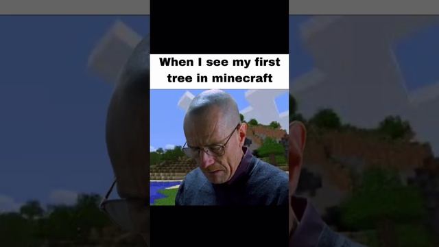 Walter white in Minecraft#Minecraft #meme #funny #shorts  #breakingbad #walterwhite смотреть онлайн