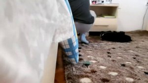 ЛЮБОВЬ ПОПУГАЙ К КРОЛИКУ! ГОНКИ ПО КВАРТИРЕ И ПОЛНЫЙ РАЗГРОМ! Домашние питомцы Хомка