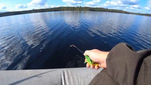 Рыбалка с лодки на бортовые удочки.