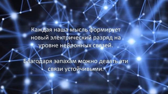 Аромапсихология. Занятие 1. Механизмы воздействия ЭМ