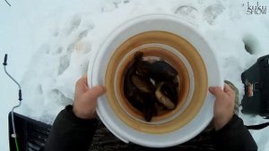 Охота на Ротана!!! Экспресс рыбалка 2021!!! Лучшая прикормка на Ротана!!!