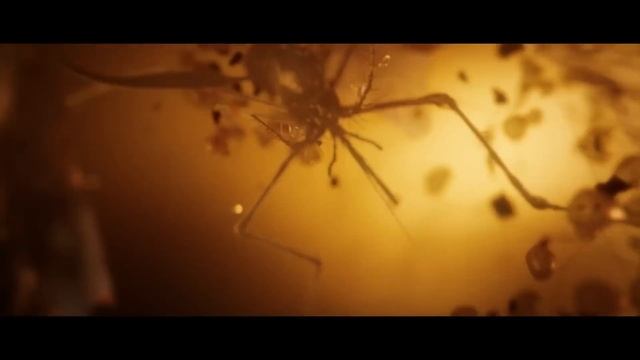 Привезём автомобиль Вашей мечты! Лучшие условия на рынке. #автоизсша #bmw #mercedes #toyota #cars смотреть онлайн