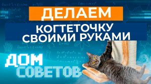 Делаем когтеточку своими руками