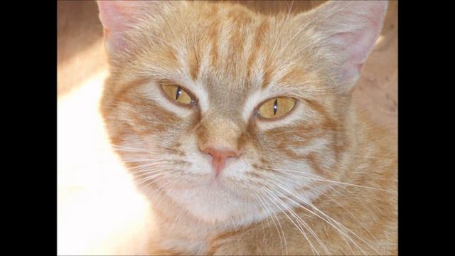 0100110100110 смотреть онлайн