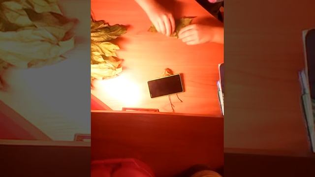 Розы из клёнов? смотреть онлайн