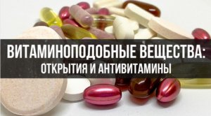 Витаминоподобные вещества: открытия и антивитамины | Фёдор Лисицын