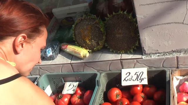 ПОЛЬША: Цены на помидоры в городе Хмелно (Poland Hmelno) смотреть онлайн