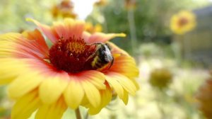 ҚАЗАҚША ӘНДЕР 2024 ♥️ Қазақ музыкасының ең хиттері ♥️ Демалу қажет кездегі ең әдемі музыка