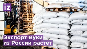 Экспорт муки из России вырос в четыре раза / Известия