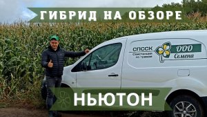 ГИБРИД НА ОБЗОРЕ - НЬЮТОН