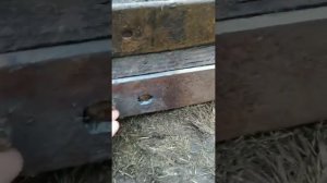 Подходят ли рессоры от Газель к Спринтеру или ЛТ