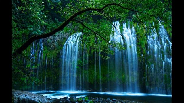 Peaceful Beautiful Music The Sound of Rain Расслабляющая Музыка для Медитации и Сна Шум Дождя смотреть онлайн