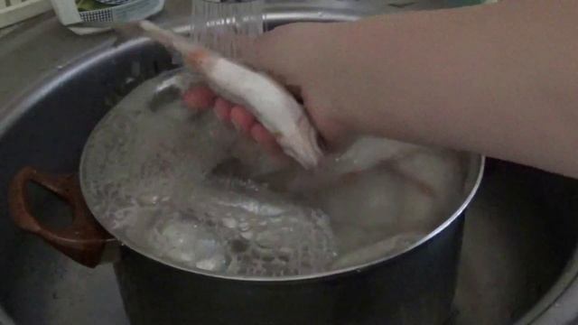 Как солить и сушить рыбу//Вяленая Тарань Краснопёрка//Самый вкусный и простой способ)))