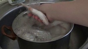Как солить и сушить рыбу//Вяленая Тарань Краснопёрка//Самый вкусный и простой способ)))