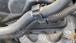 Посторонний шум в кожухе грм cwva