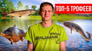 Трофеи ПОДВОДНОЙ ОХОТЫ и где их искать.ТОП-5 трофеев в средней полосе России