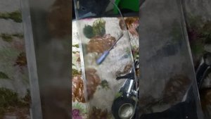 Установка панели Валдай)))
