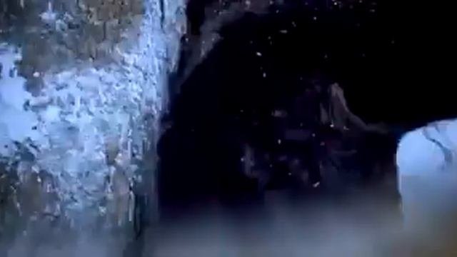 Большой тигр самый мощный