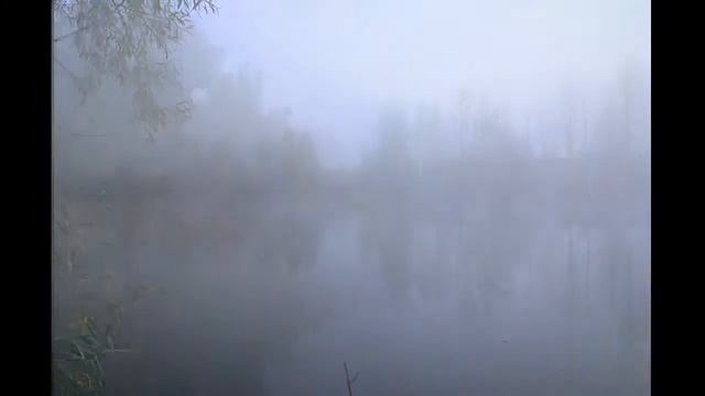 Игорь Двуреченский. "Безмолвие" смотреть онлайн