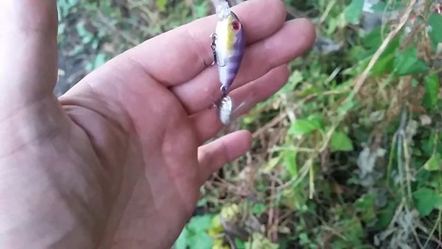 20 сентября 2015 г. смотреть онлайн