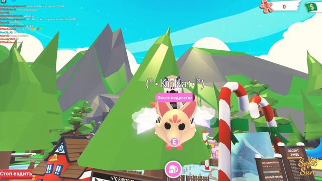 Розыгрыш Флай Кицунэ и 4 Снежной совы | Sofit Sun смотреть онлайн