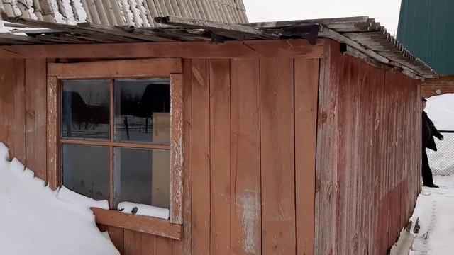 Первый день на новой даче