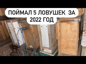 УКРАЛИ ЛОВУШКИ/ПОЙМАЛ 5 ЛОВУШЕК/ИТОГИ 2022 ГОДА