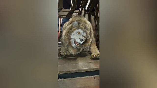 Behind the scene of Halloween Horror Nights 2019! смотреть онлайн