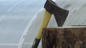 Владимир Шкаликов - мастер резьбы по дереву