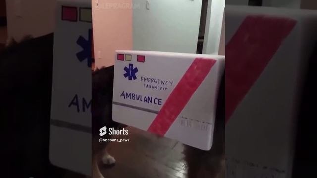 Скорую вызывали?
