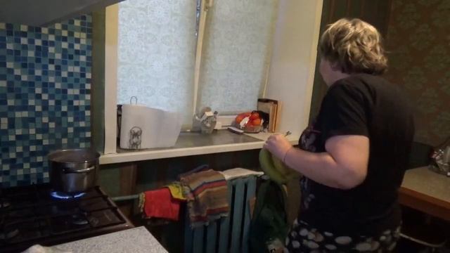 Покупки покупок/Пятерочка-доставка на 1200₽/Обзор покупок/Цены в Самаре 11.2023 смотреть онлайн