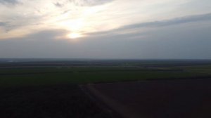 DJI Mavic mini Лесок