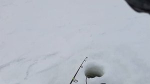 Рыбалка в Татьянин День..25 января 2023..Глухозимье продолжается))
