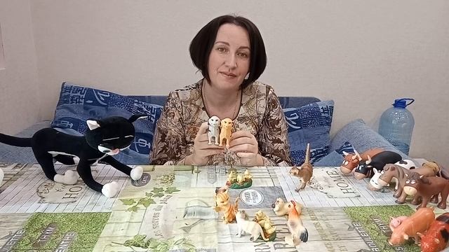 Онлайн-занятие домашние животные смотреть онлайн