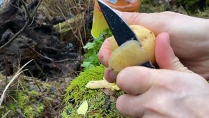 Нож CRKT Hissatsu folder кухонный тест, суп у озера.