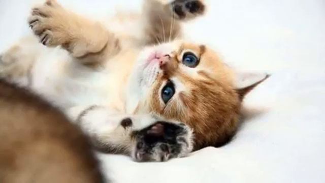 Слушать новую музыку и видео 2015 смотреть онлайн