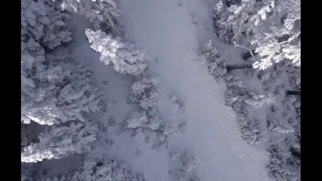 aurora|зимний лес, кадры под музыку|its_Vendi смотреть онлайн