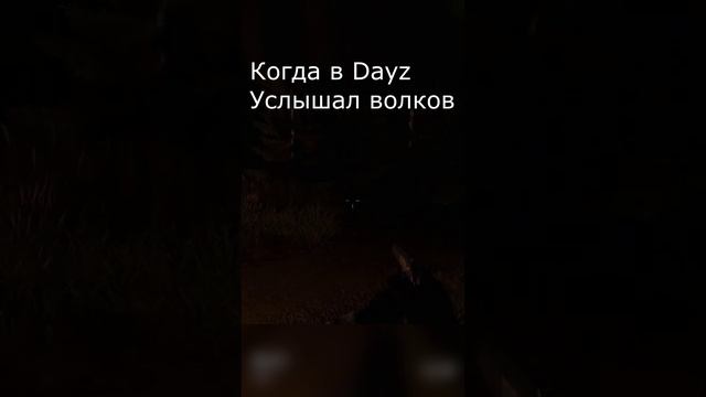 Dayz Волки Shorts