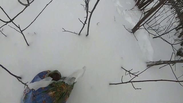 Зайцы русаки выпрыгивают из-под снега смотреть онлайн