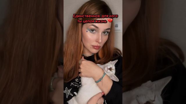 Мой дом там, где она 🥺 #животные #питомцы #ориенталы #cat