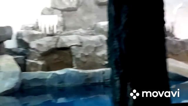 В ТЦ Рио Дмитровка, Океанариум смотреть онлайн