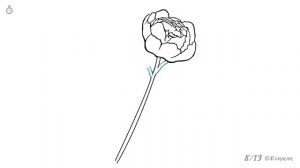 Как поэтапно нарисовать пион: инструкция от EvriKak