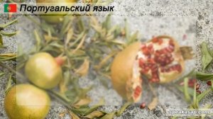 Урок 1. Португальский язык за 7 уроков для начинающих. Глаголы ser и estar. Бразильский вариант.