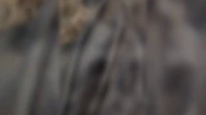 ПОЛУЧИЛОСЬ Невероятное!!!🤩🤩🤩Перекрой старой норковой шубы в современную модель ( бомбер)