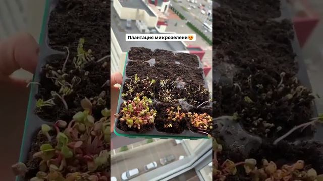 Владислав Иванов и Катя Скалон в сторис 23.05.2020.