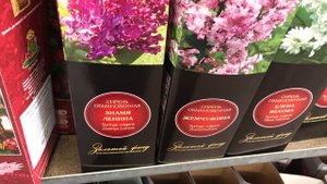 САД 2021.Декоративные деревья и кустарники! ОБИ.