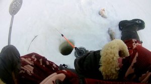 Рыбалка на Чанах февраль 2020