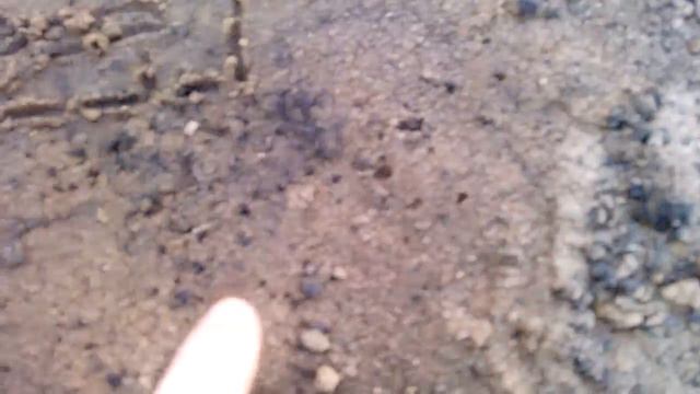 ПЬЯНЫЙ ЁЖИК смотреть онлайн